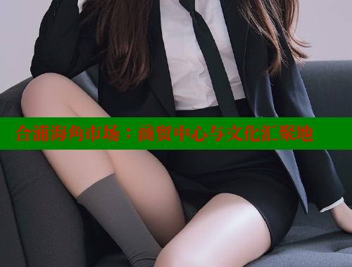 合浦海角市场：商贸中心与文化汇聚地 海角社区app免费下载 第1张