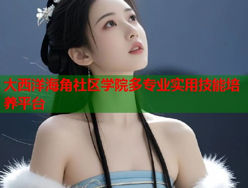 大西洋海角社区学院多专业实用技能培养平台