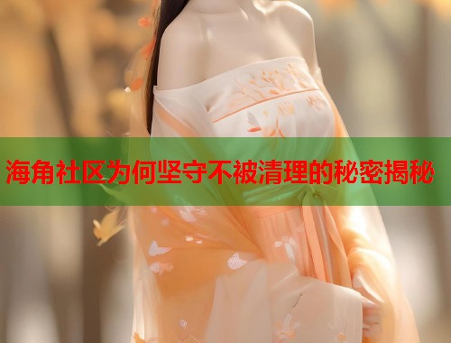 海角社区为何坚守不被清理的秘密揭秘  第2张