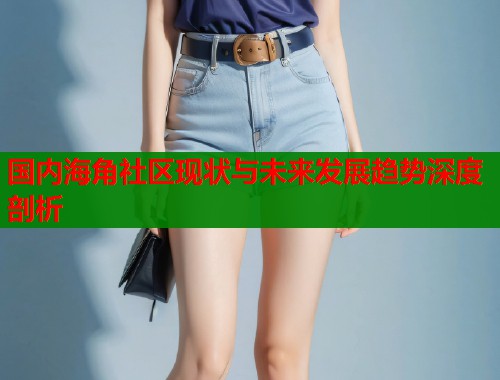 国内海角社区现状与未来发展趋势深度剖析