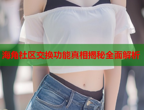 海角社区交换功能真相揭秘全面解析  第2张