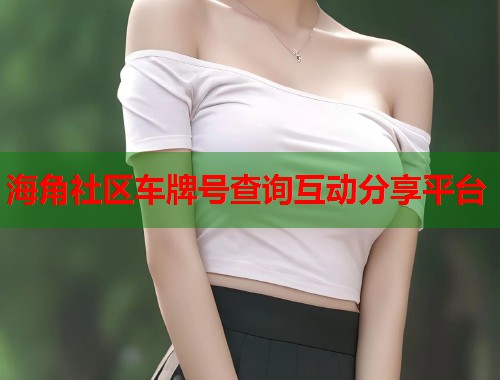 海角社区车牌号查询互动分享平台  第1张