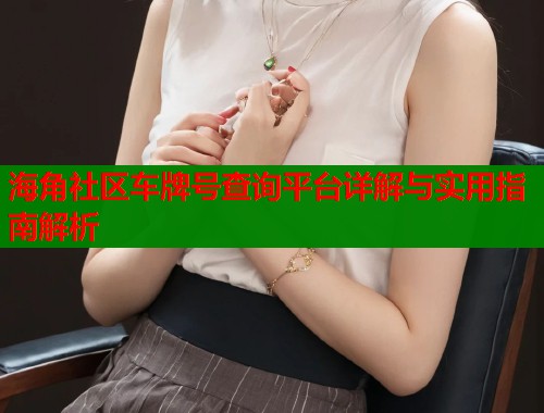 海角社区车牌号查询平台详解与实用指南解析  第2张