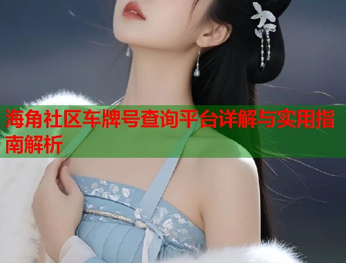 海角社区车牌号查询平台详解与实用指南解析  第1张
