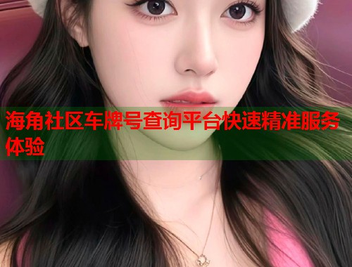 海角社区车牌号查询平台快速精准服务体验  第1张